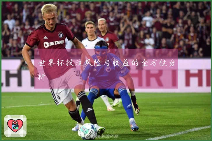 世界杯投注风险与收益的全方位分析