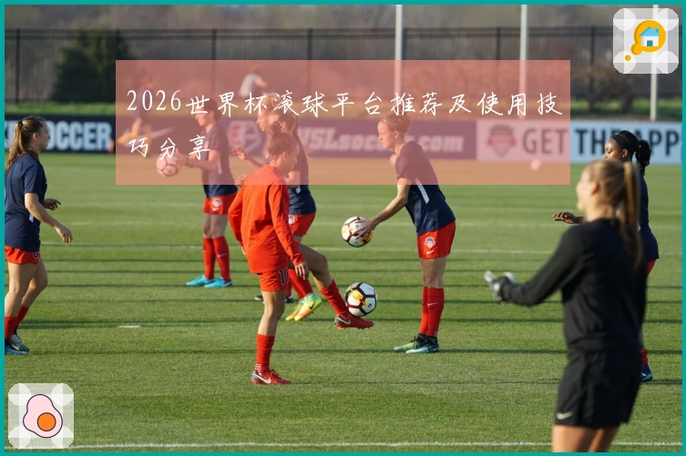 2026世界杯滚球平台推荐及使用技巧分享