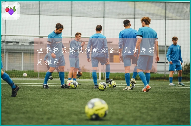世界杯买球投注的必备小贴士与实用推荐
