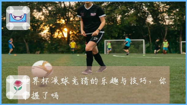 世界杯滚球竞猜的乐趣与技巧，你掌握了吗