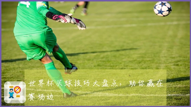 世界杯买球技巧大盘点，助你赢在赛场边